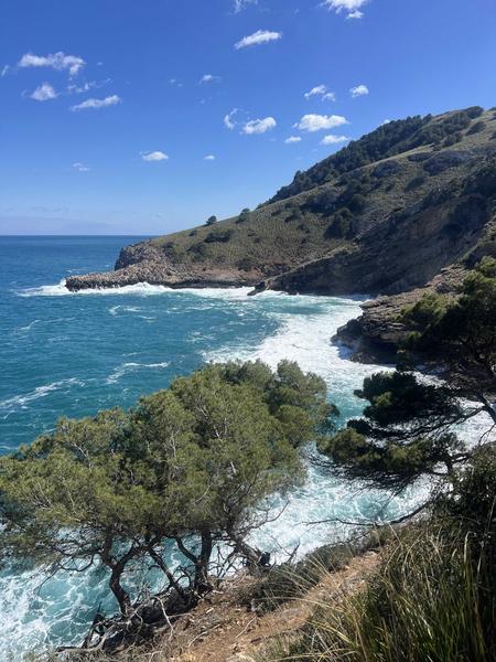 Thumbnail of photo from this article